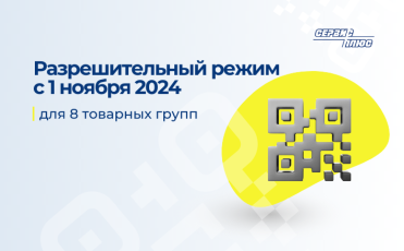 Разрешительный режим на кассах с 1 ноября 2024 года 